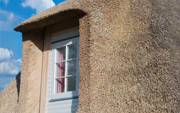 Drongan thatch roof disadvantages