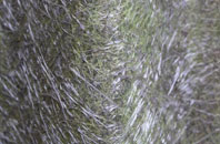 Drongan fibreglass roof work