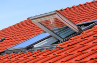 Drongan roof window